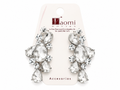 Aretes plateados
